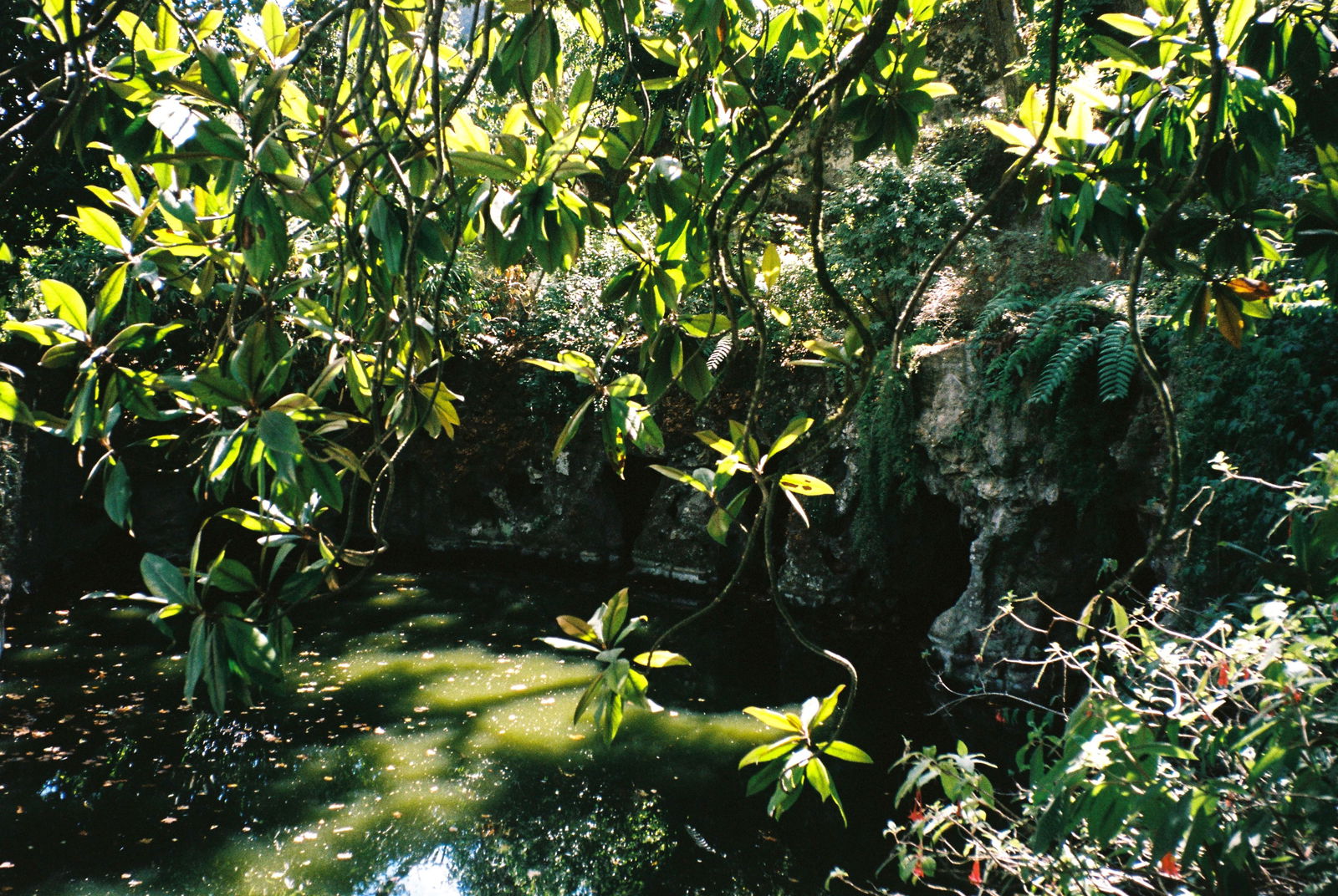 ⋆˚࿔ 𝓪𝓵𝓲𝓼𝓸𝓷 𝜗𝜚˚⋆ photo