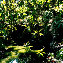 โหเฟ ๐ช๐ต๐ฒ๐ผ๐ธ๐ท ๐๐หโ photo