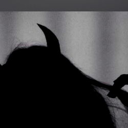 Hunny Bunzz 🍯 photo