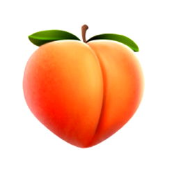 OnlyFans Model: TheAssMan