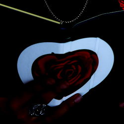 Papahh Rose 🌹 Free Page photo