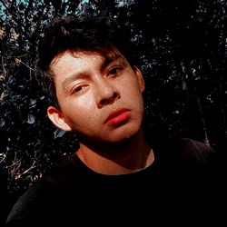 Alejandro Magno photo