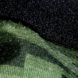 獼猴/新北 主 photo