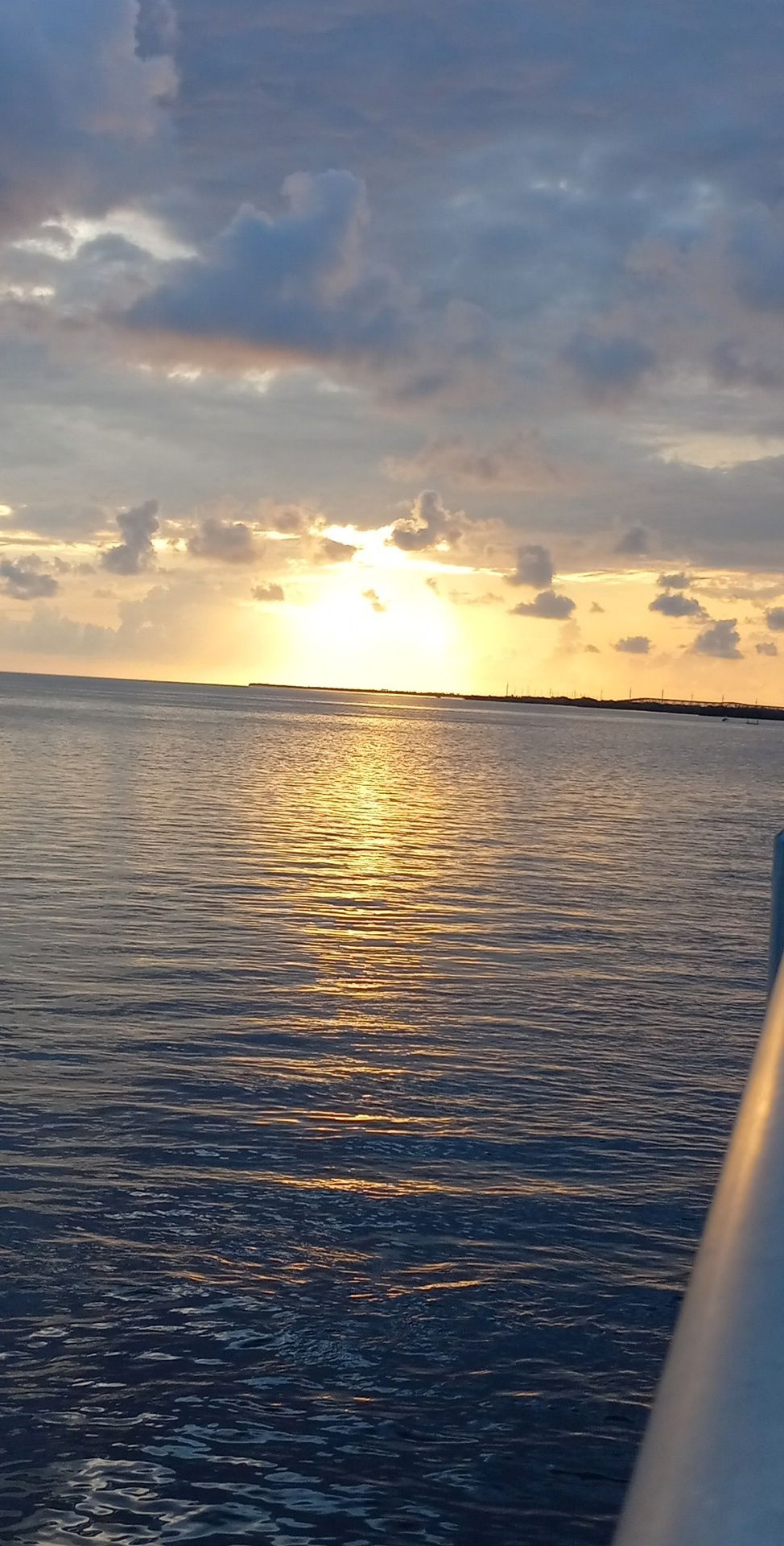 Alpha's submissive bitch photo