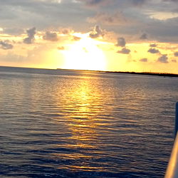 Alpha's submissive bitch photo