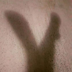 Casual Silhouette Art on Concrete