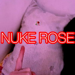 Nuke rose photo