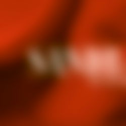 Sandra Hajkova photo