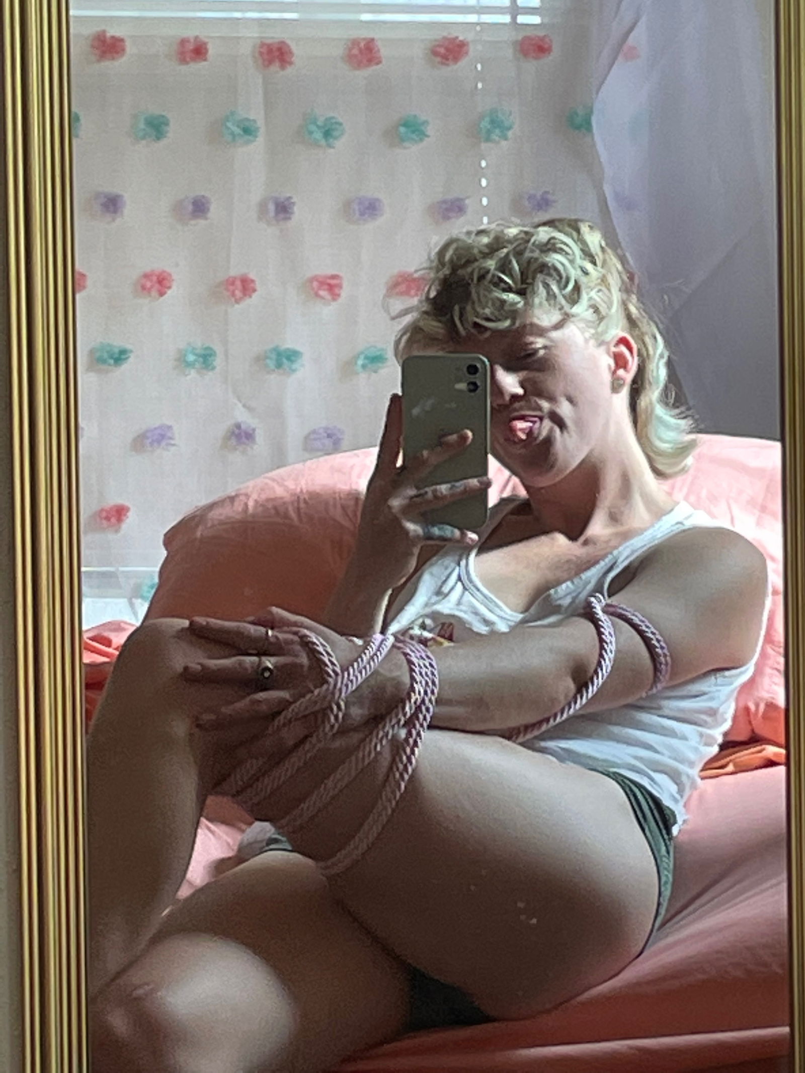 curious kitten photo