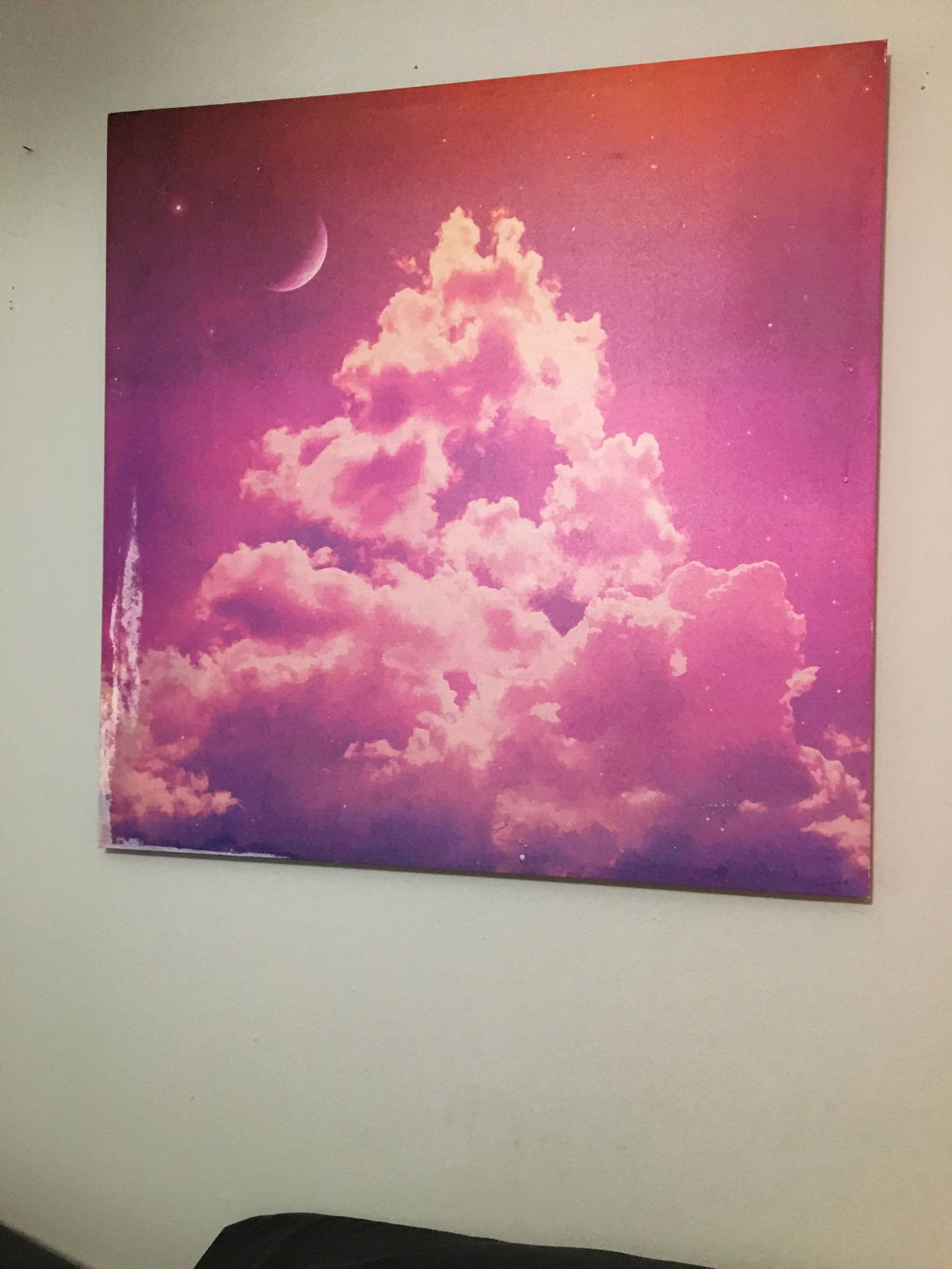 Amber Chambers photo