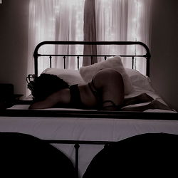 Queen of the Night photo