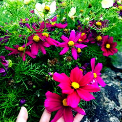 Vivid Flower Bouquet