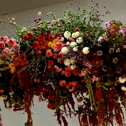 Vibrant Floral Arrangement in a Display