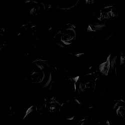 Amanda ๐ซถ๐ผ photo