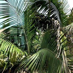 bella โญ๏ธ photo