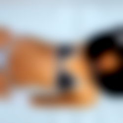 Maya Tropical Heat🔥 photo