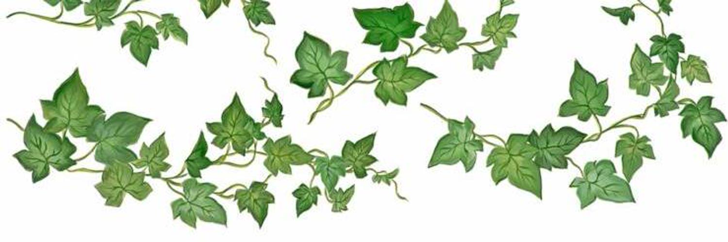 Ivy de la Courte photo