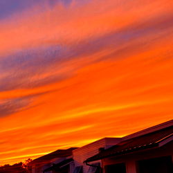 BiCurious Friend photo