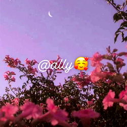 Ally๐ฅฐ photo