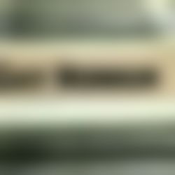 ALLEGEDLY ADAM photo