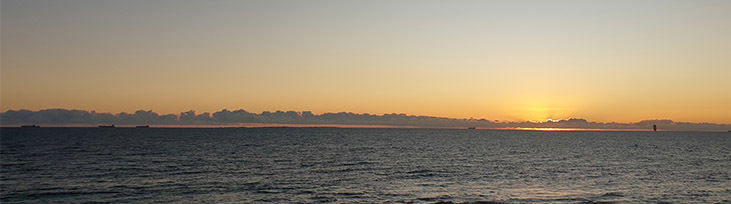 Aussie Gym Daddy photo