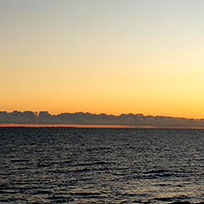 Aussie Gym Daddy photo