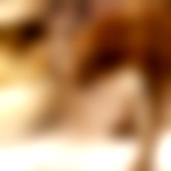 GODDESS SYN KYNKS photo