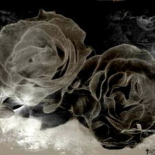 Venessa Villarreal photo