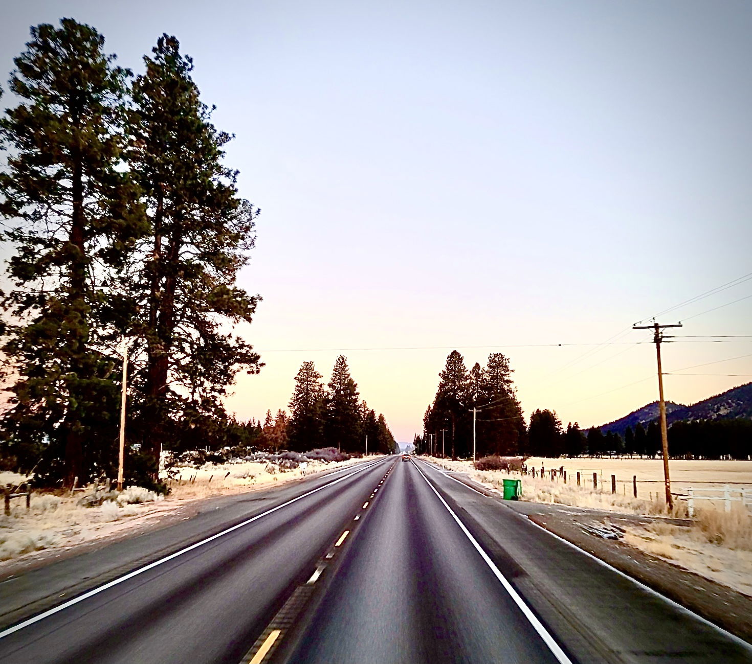 Alleah Trucksalot photo