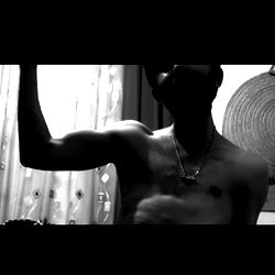 Eastern phoenixx photo