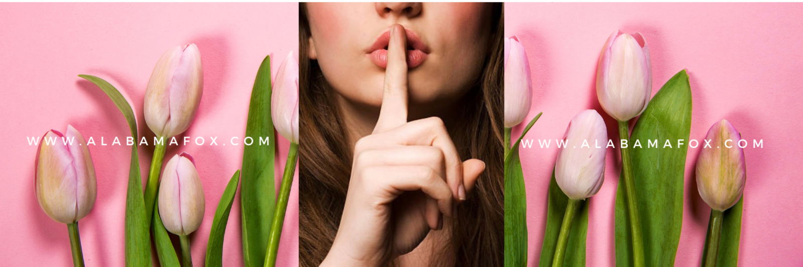 Alabama the Fox photo