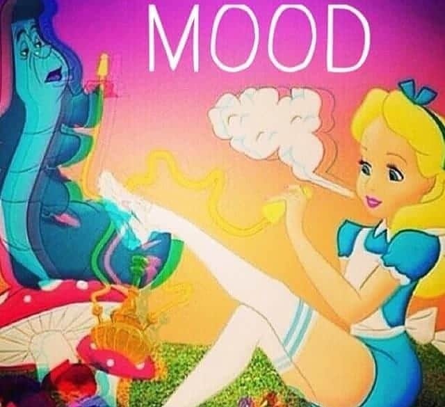 Stoner Beauty Feet photo