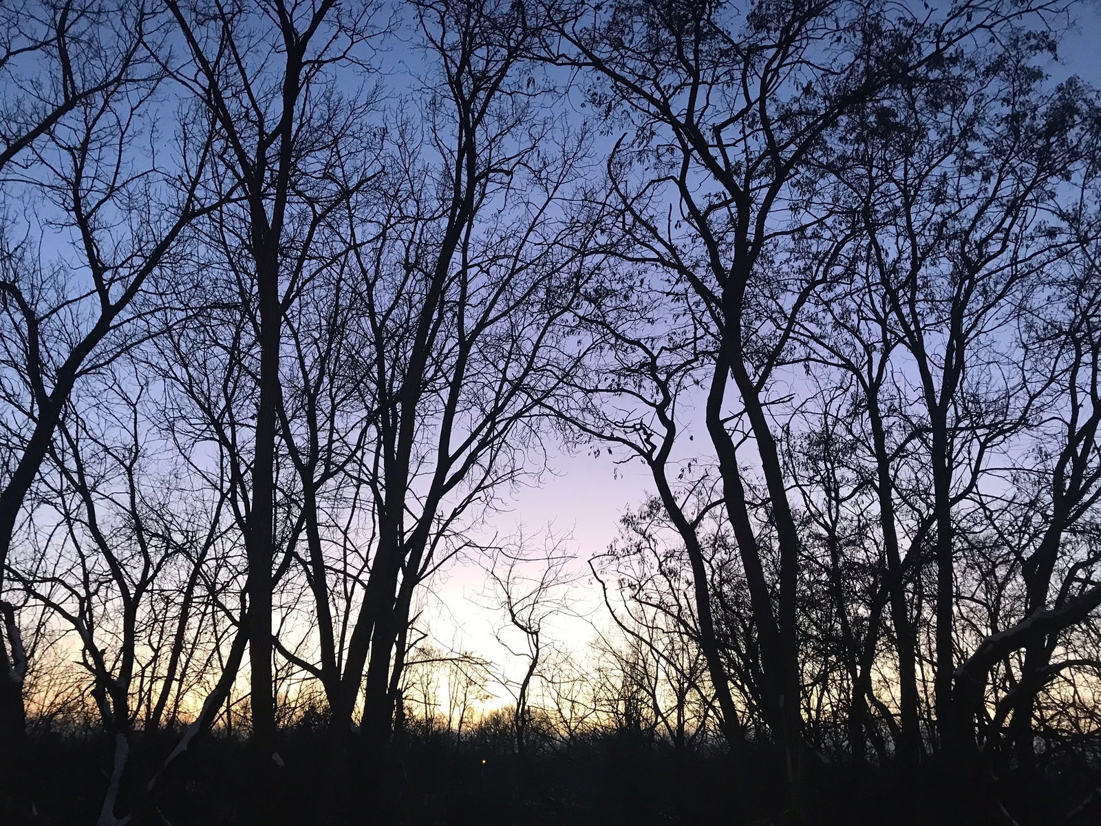 sussy baka ♡ photo