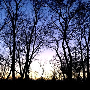 sussy baka โก photo