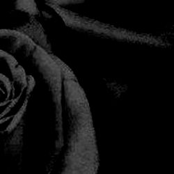 𝕸𝖆𝖌𝖉𝖆𝖑𝖊𝖓𝖆 🥀 photo