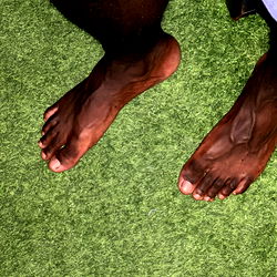 Donovan Daniel photo