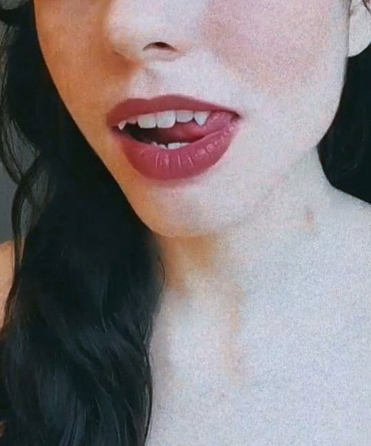 ♡ pocketpuppy ♡ photo