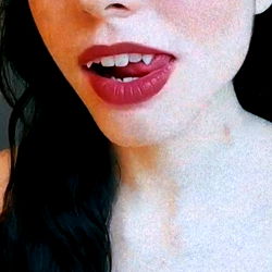 ♡ pocketpuppy ♡ photo