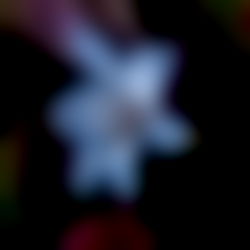 Princess Jewelss photo