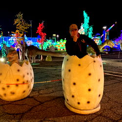 Nighttime Christmas Display with Big Mac