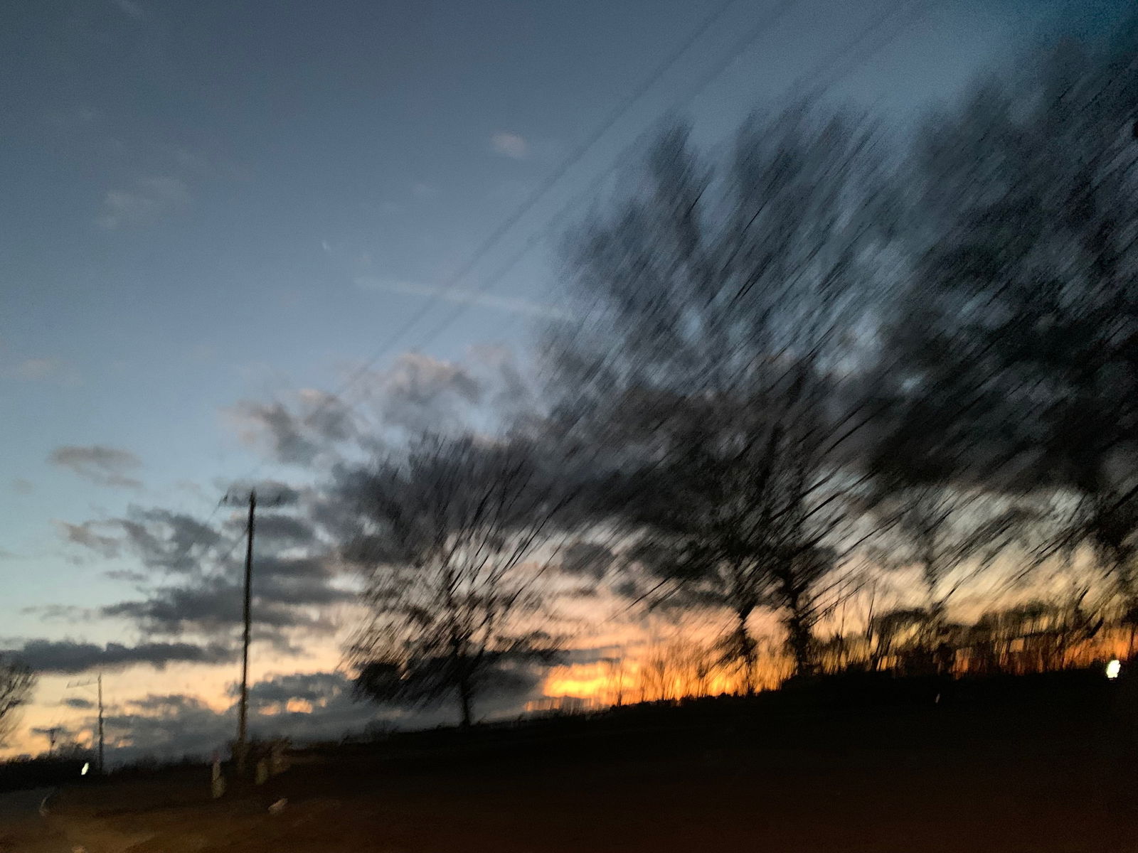 Lacey Michelle photo