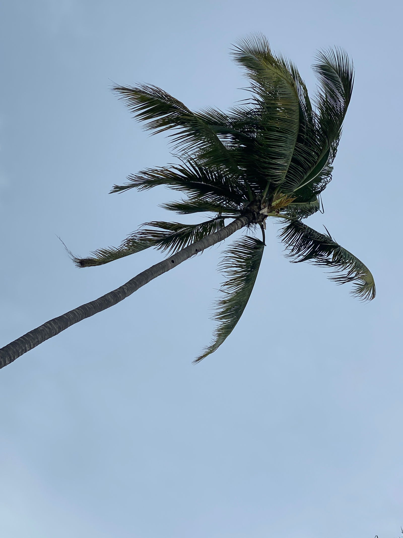 Arturo_Sutermeyer photo