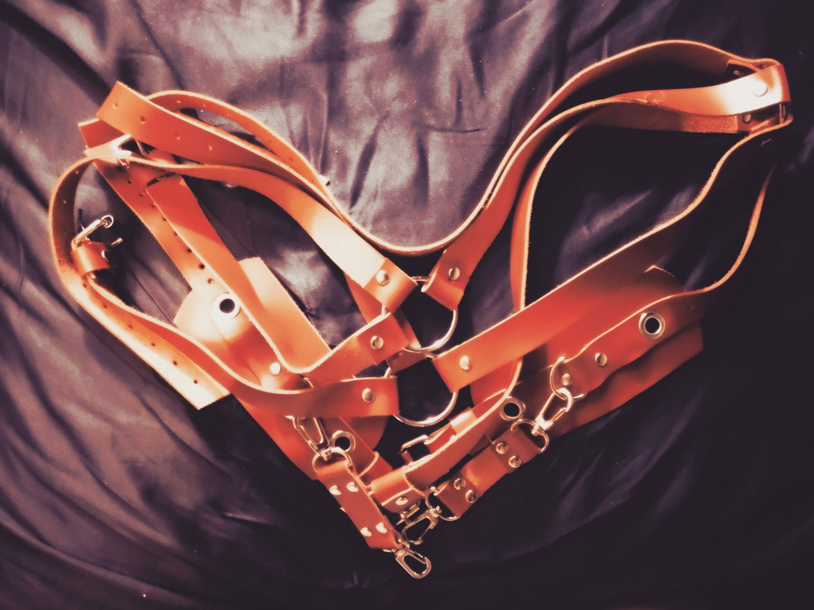 Artemis Anonymous photo