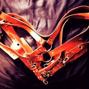 Artemis Anonymous photo