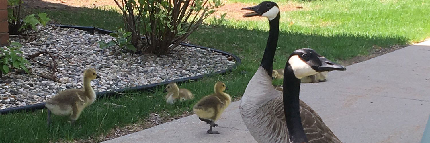 Andrew Chichester photo