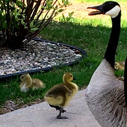 Model Andrew Chichester's Adorable Family Moment