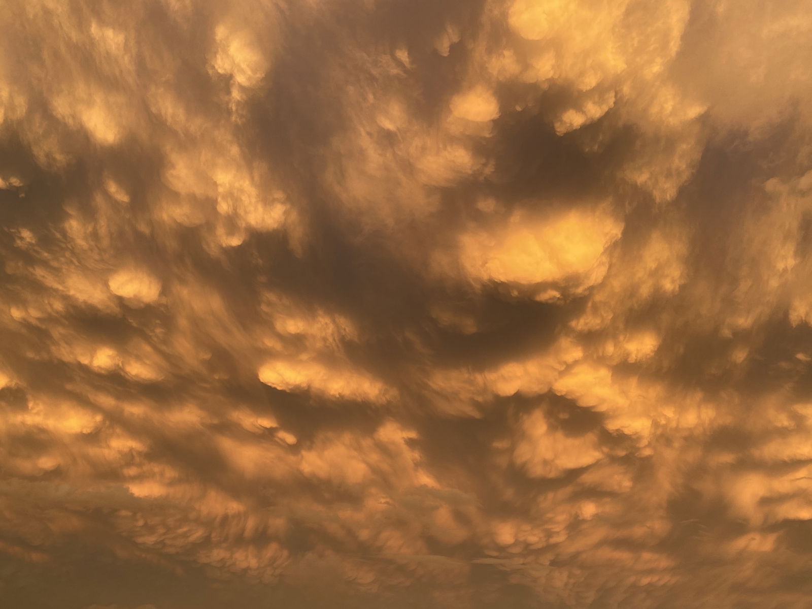 𖦹ʏᴏᴜʀ ᴀᴠᴇʀᴀɢᴇ 𝑨𝒒𝒖𝒂𝒓𝒊𝒖𝒔𖦹 photo