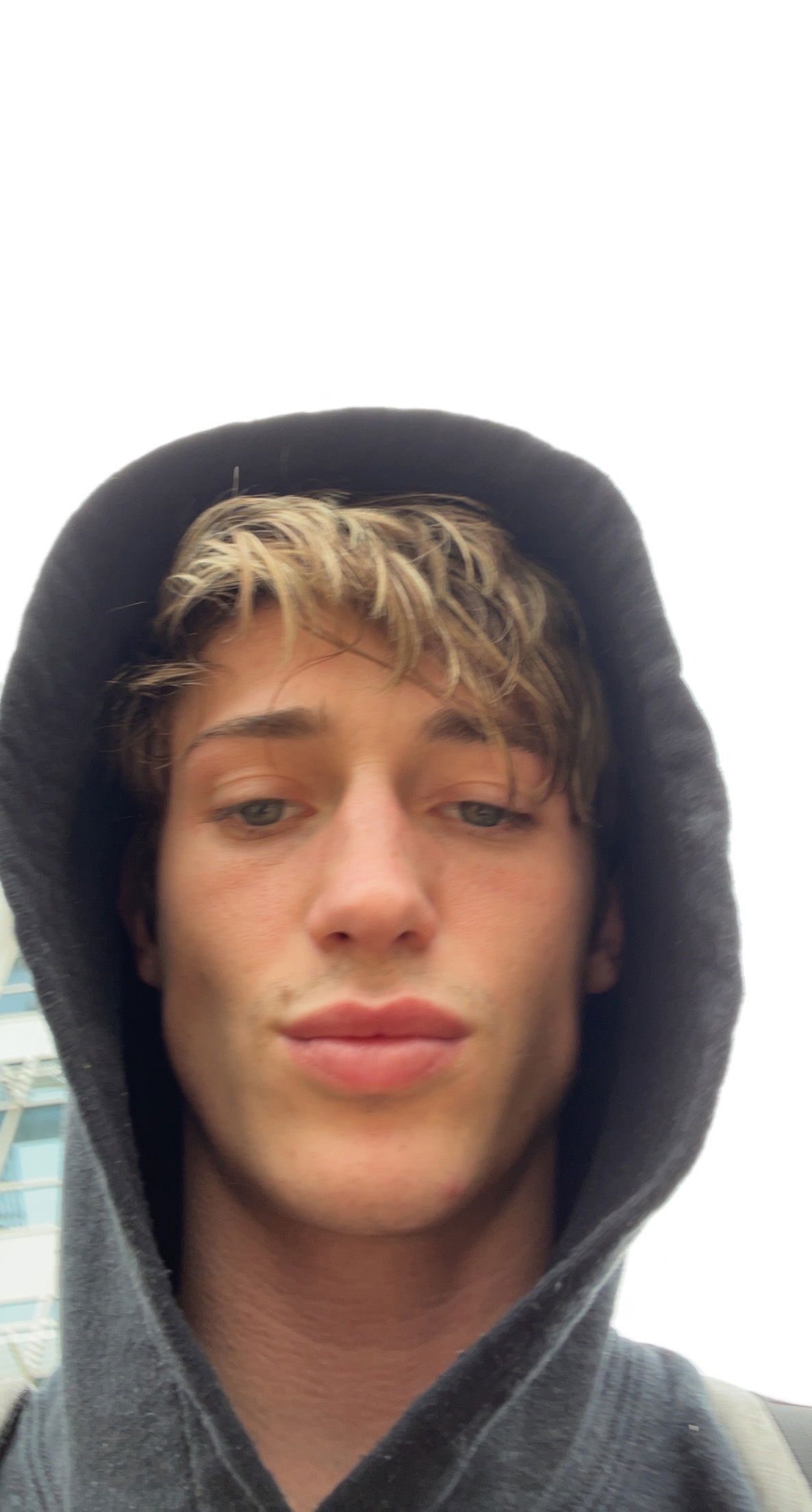 ⭐️DALLAS⭐️ photo