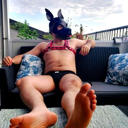 Chillin' Outdoor with a Furry Friend