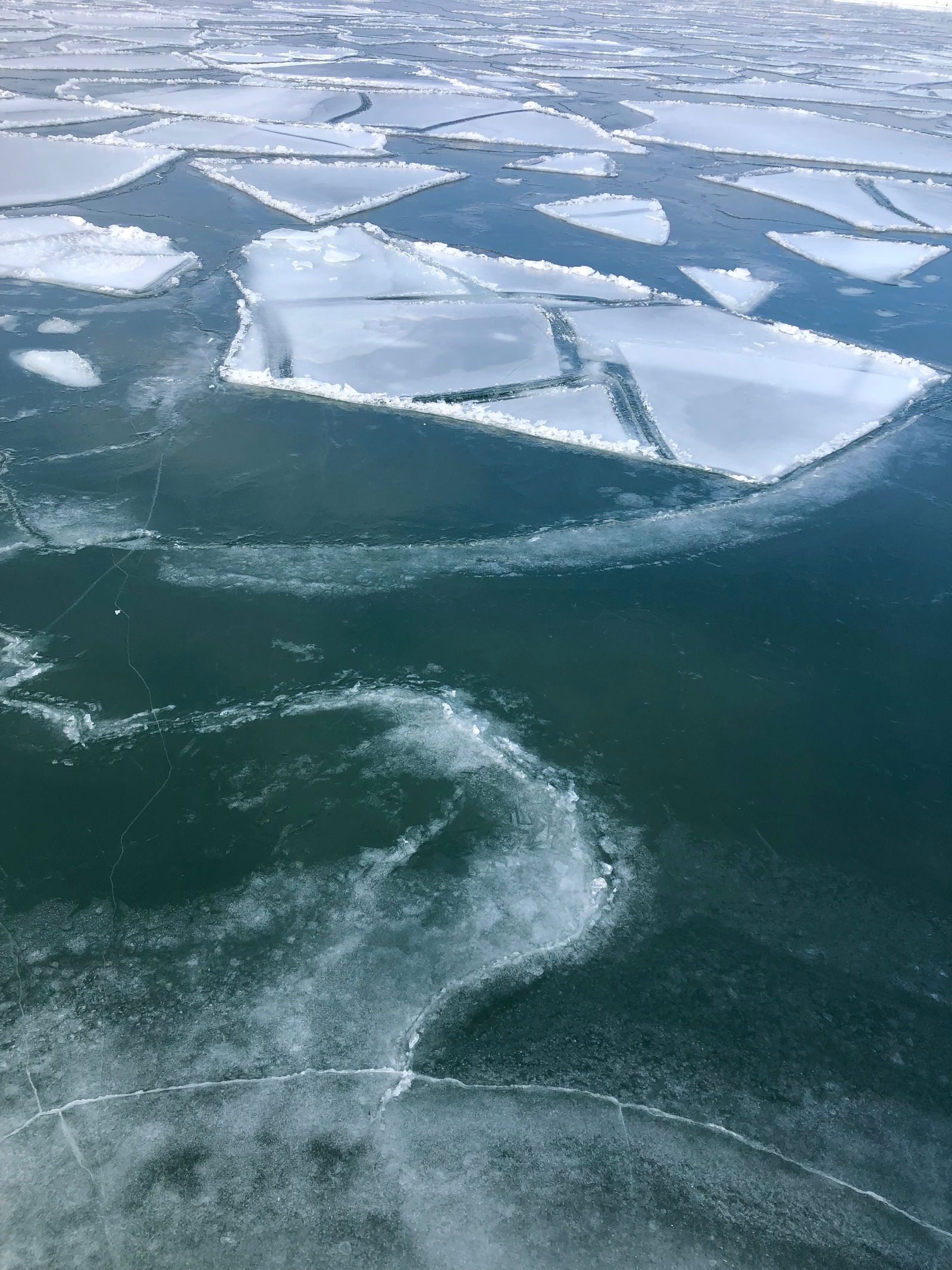 Alexander Eden photo